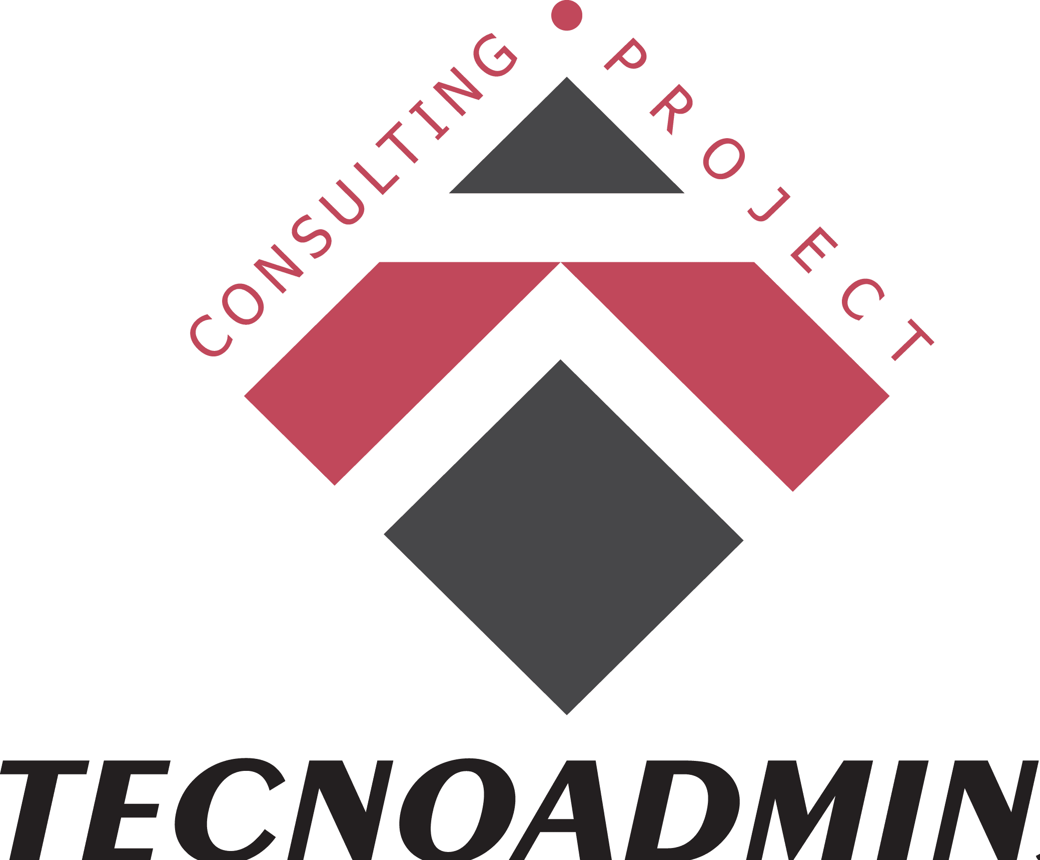 TecnoAdmin Consulting